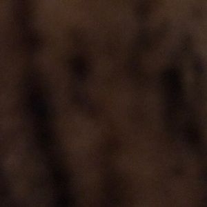 Meet your Posher, Leanne